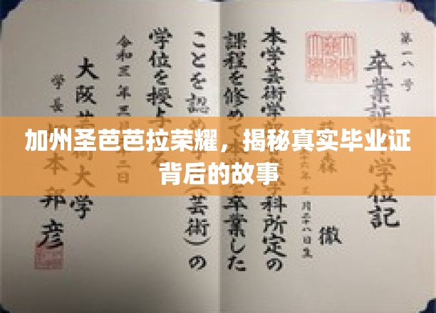 加州圣芭芭拉传奇，揭秘毕业证背后的荣耀之路