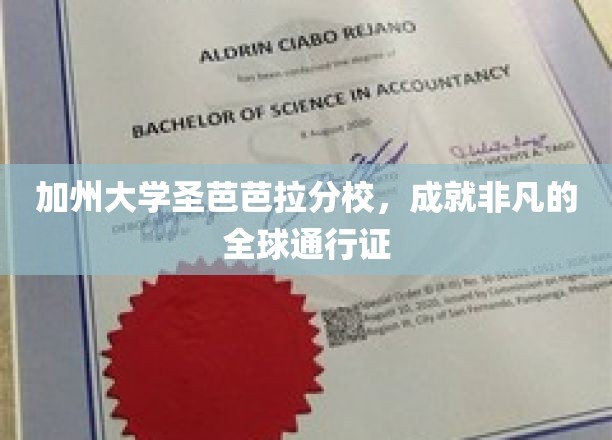 解码加州，圣芭芭拉分校的全球精英养成记