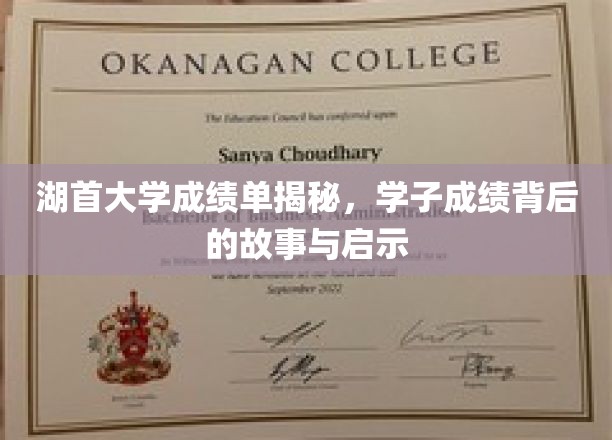 湖首大学成绩单揭秘：学子成绩背后的故事与启示