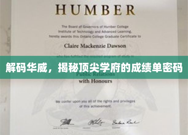 解锁华威传奇，一窥顶尖学府的秘密成绩榜