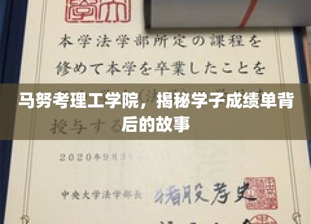 马努考理工学院，揭秘学子成绩单背后的故事
