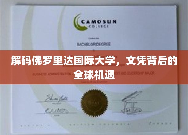 解码佛罗里达国际大学，文凭背后的全球机遇
