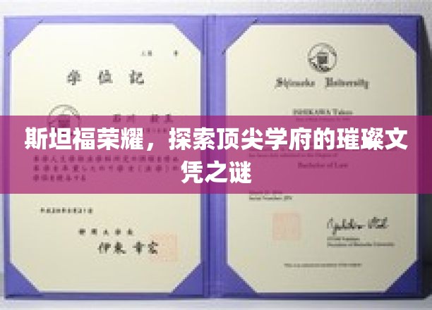 斯坦福荣耀，探索顶尖学府的璀璨文凭之谜