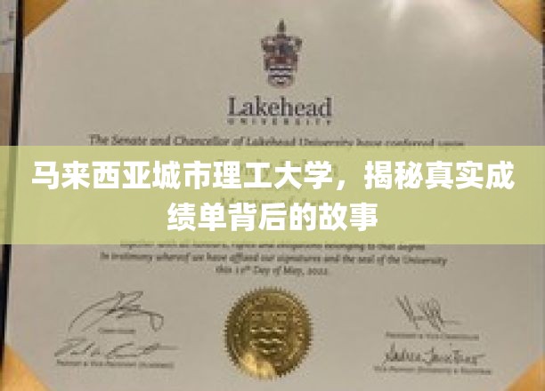 马来西亚城市理工大学，揭秘真实成绩单背后的故事