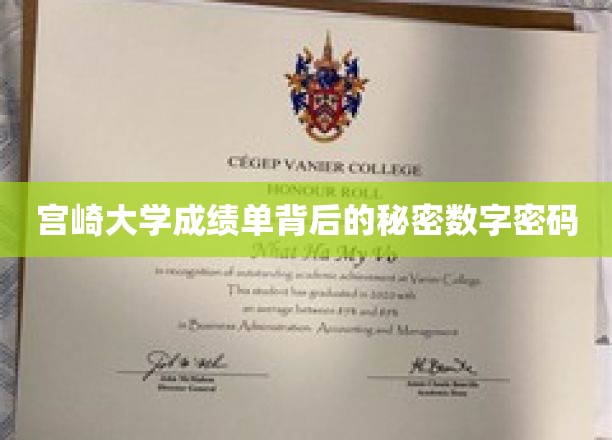 宫崎大学成绩单背后的神秘数字密码