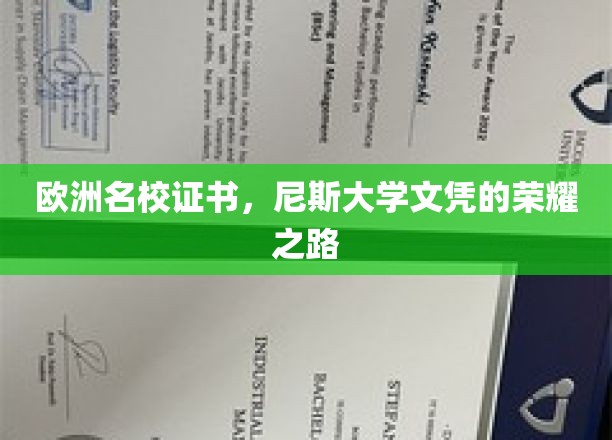 解锁欧洲顶尖学府——尼斯大学文凭的璀璨之旅