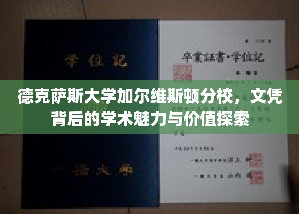 解码德克萨斯大学加尔维斯顿分校，文凭背后的学术宝藏揭秘