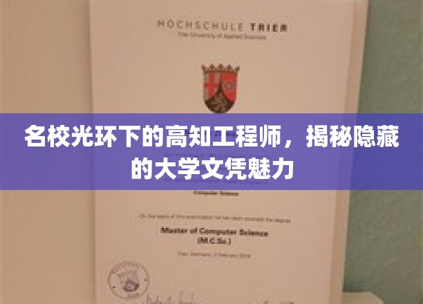 解码名校光环，揭秘高知工程师背后的大学文凭魅力