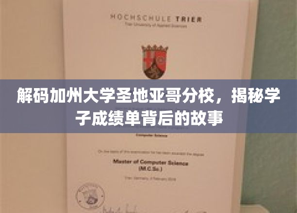 解码圣地亚哥分校学霸秘籍，揭开成绩单背后的传奇故事
