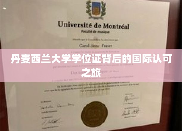 丹麦西兰大学学位证背后的国际认可之旅