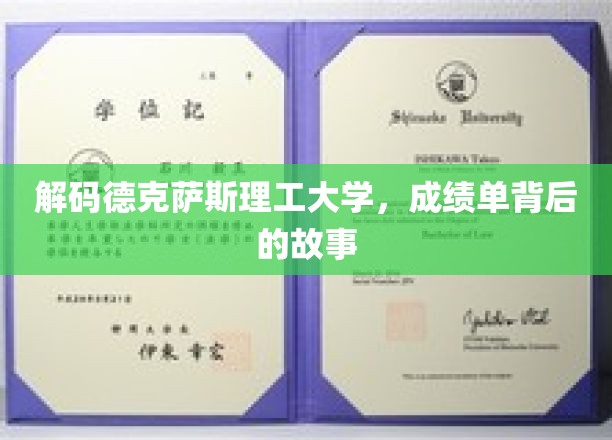 解码德克萨斯理工大学，成绩单背后的故事