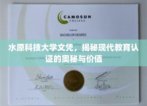 破解学历认证之谜，水原科技大学文凭背后的现代教育价值解析