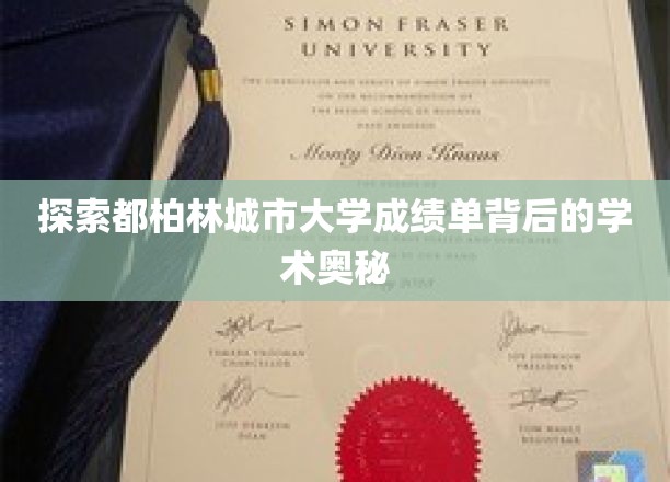 解码都柏林大学成绩单，学术成就的深层次解析