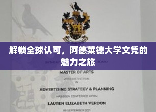 全球通行证，阿德莱德大学文凭的国际魅力探索