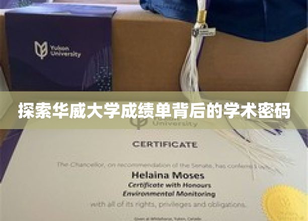 解码华威大学成绩单，揭开学术成就的神秘面纱