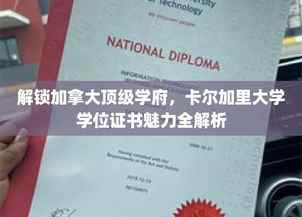 解锁加拿大顶级学府，卡尔加里大学学位证书魅力全解析