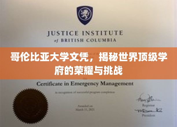 哥伦比亚大学文凭背后的荣耀之路，探索顶级学府的辉煌与挑战