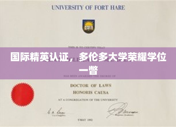 探索国际精英成就，多伦多大学荣耀学位背后的故事