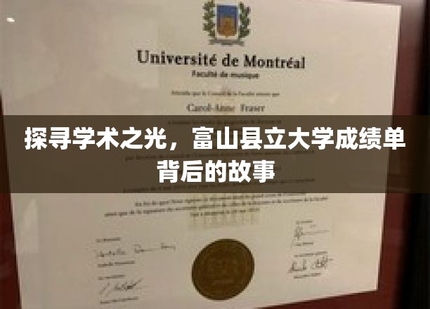 揭秘学术殿堂，富山县立大学成绩单背后的璀璨秘密