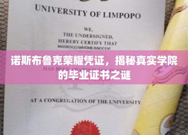 诺斯布鲁克荣耀凭证，揭秘真实学院的毕业证书之谜