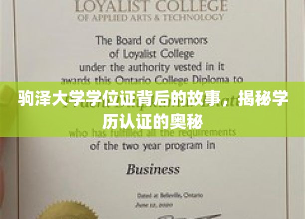 驹泽大学学位证之谜，一探学历认证的神秘面纱