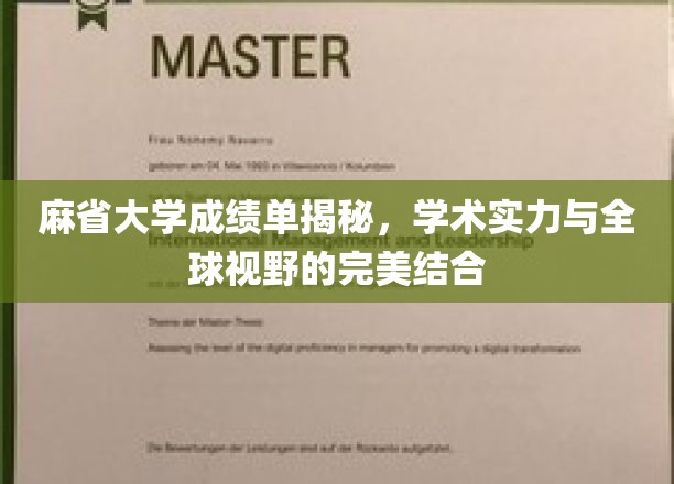 麻省大学揭秘，全球视野中的学术实力新标杆