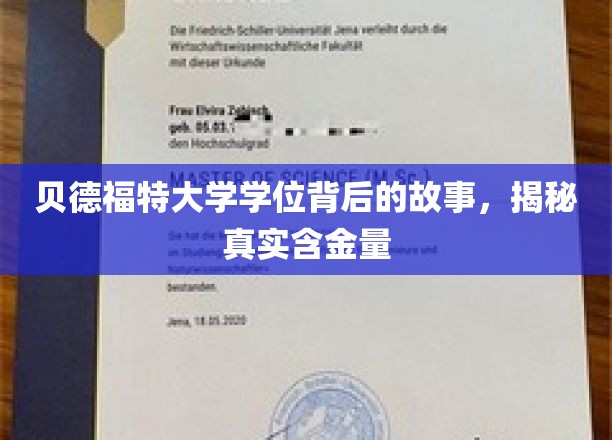 贝德福特大学学位揭秘，探寻其背后真实价值与影响力