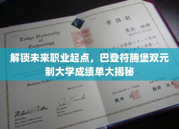 解锁未来职业起点，巴登符腾堡双元制大学成绩单大揭秘