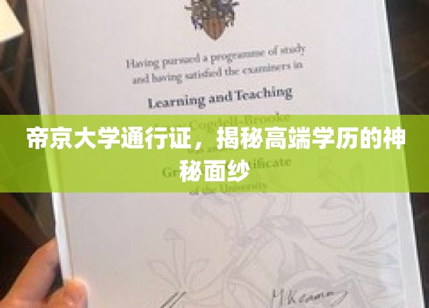 解锁帝京大学精英圈，高端学历背后的不凡通行证