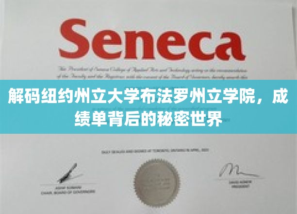 揭开布法罗州立学院成绩单背后的独特奥秘