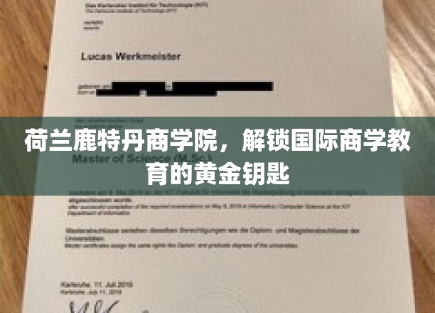荷兰鹿特丹商学院，解锁国际商学教育的黄金钥匙