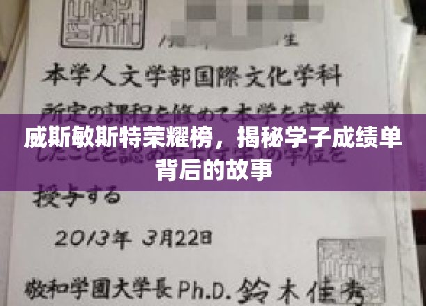 荣耀榜背后，威斯敏斯特学子成就的非凡历程