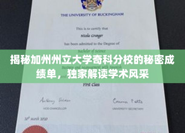 解锁奇科分校成绩单之谜，加州州立大学奇科分校独家学术风采解析
