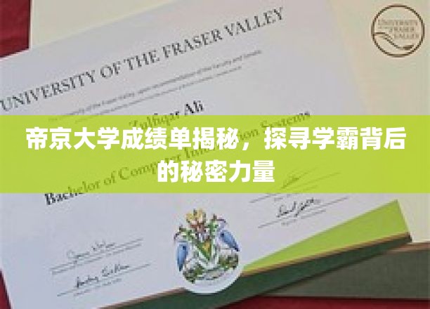 揭开帝京学霸面纱，揭秘高材生背后的神秘助力