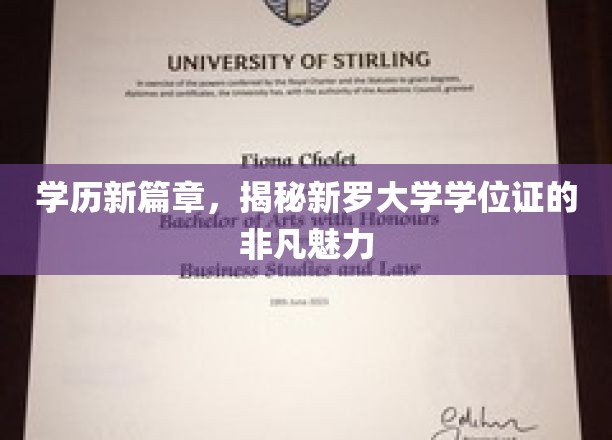 学历新篇章，揭秘新罗大学学位证的非凡魅力