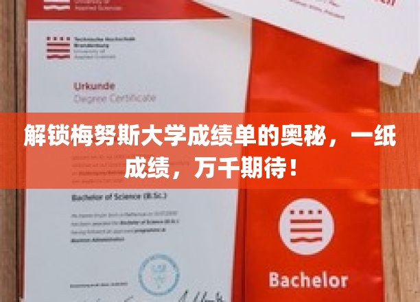 解锁梅努斯大学成绩单的奥秘，一纸成绩，万千期待！