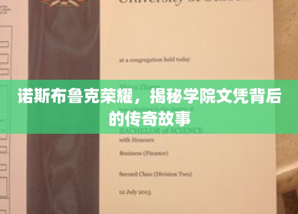 诺斯布鲁克荣耀，探寻学院文凭背后的非凡传奇