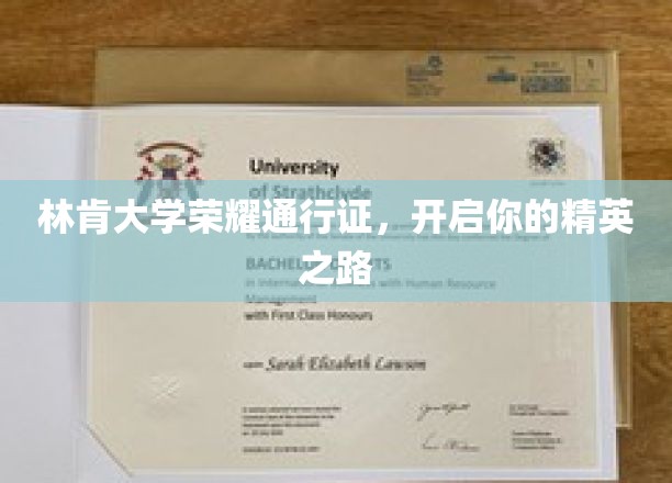 林肯大学精英通行证，解锁未来精英之旅