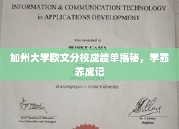 加州大学欧文分校成绩单揭秘，学霸养成记