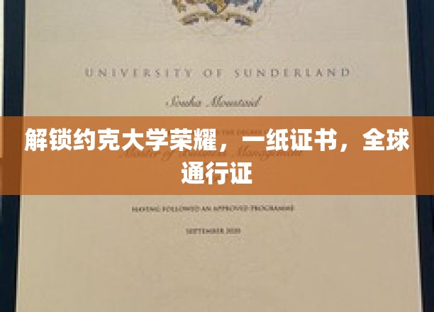约克荣耀通行，全球职场新起点