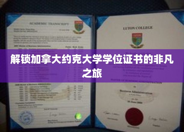 解锁加拿大约克大学学位证书的非凡之旅