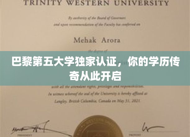 巴黎第五大学权威加持，学历新篇章惊艳启航