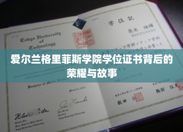 解码爱尔兰格里菲斯学院的荣耀证书，传奇背后的故事篇章