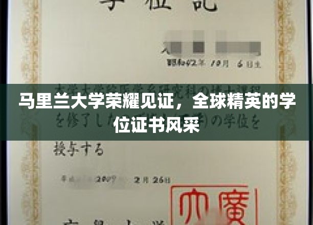 马里兰荣耀时刻，全球精英共展学位证书风采
