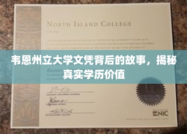 韦恩州立大学文凭的深度解读，探索学历背后的真实价值