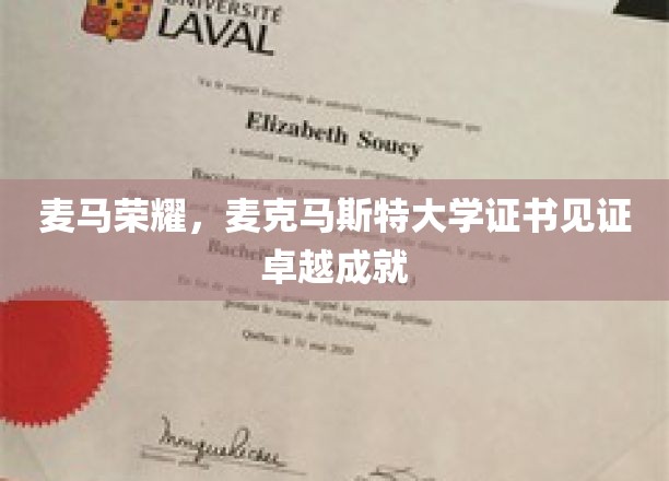 麦马荣耀，麦克马斯特大学证书见证卓越成就