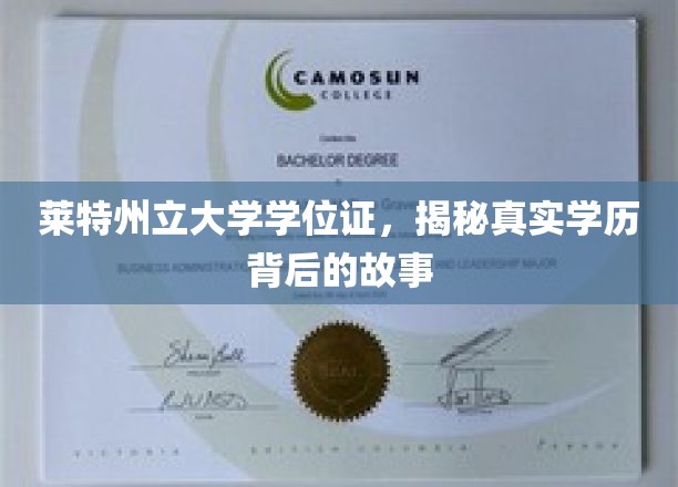 莱特州立大学学位证，揭秘真实学历背后的故事