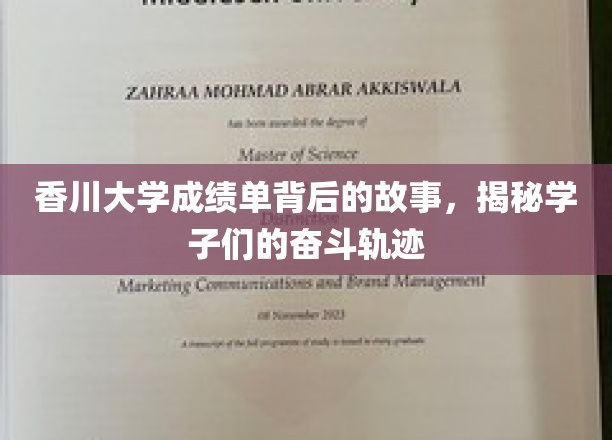 香川大学成绩单背后的故事，揭秘学子们的奋斗轨迹
