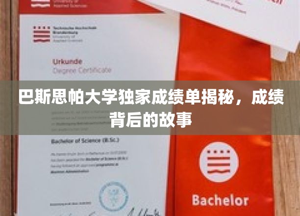 揭开巴斯思帕大学成绩之谜，背后的真实故事揭秘
