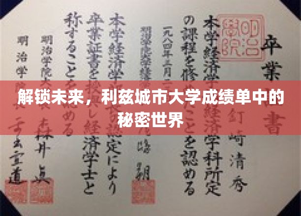 揭秘利兹城市大学，隐藏在成绩单背后的未来启示录